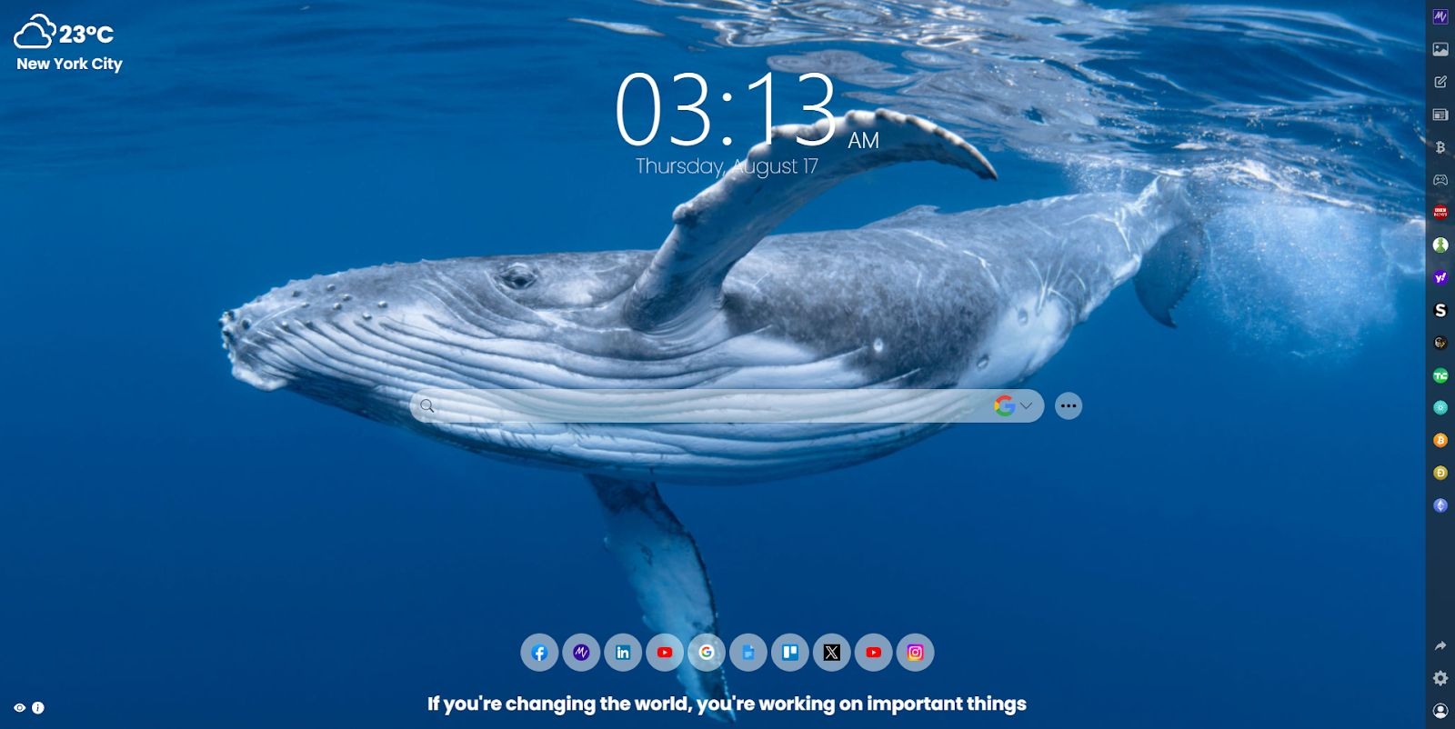 Dive into the Enchanting World of Whales with MeaVana Chrome Extension: A Visual and Educational Delight