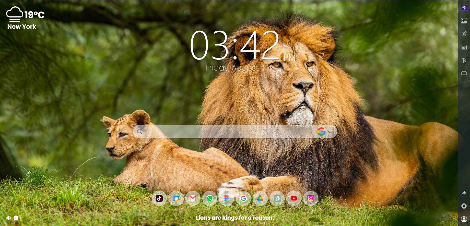 Bring the Wonders of Wildlife to Your Browser with the MeaVana Extension